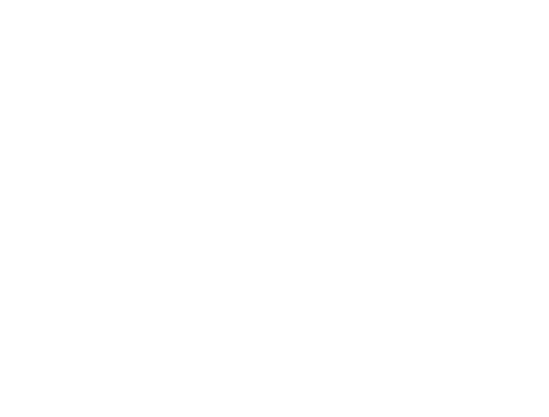 Logo Al Absar